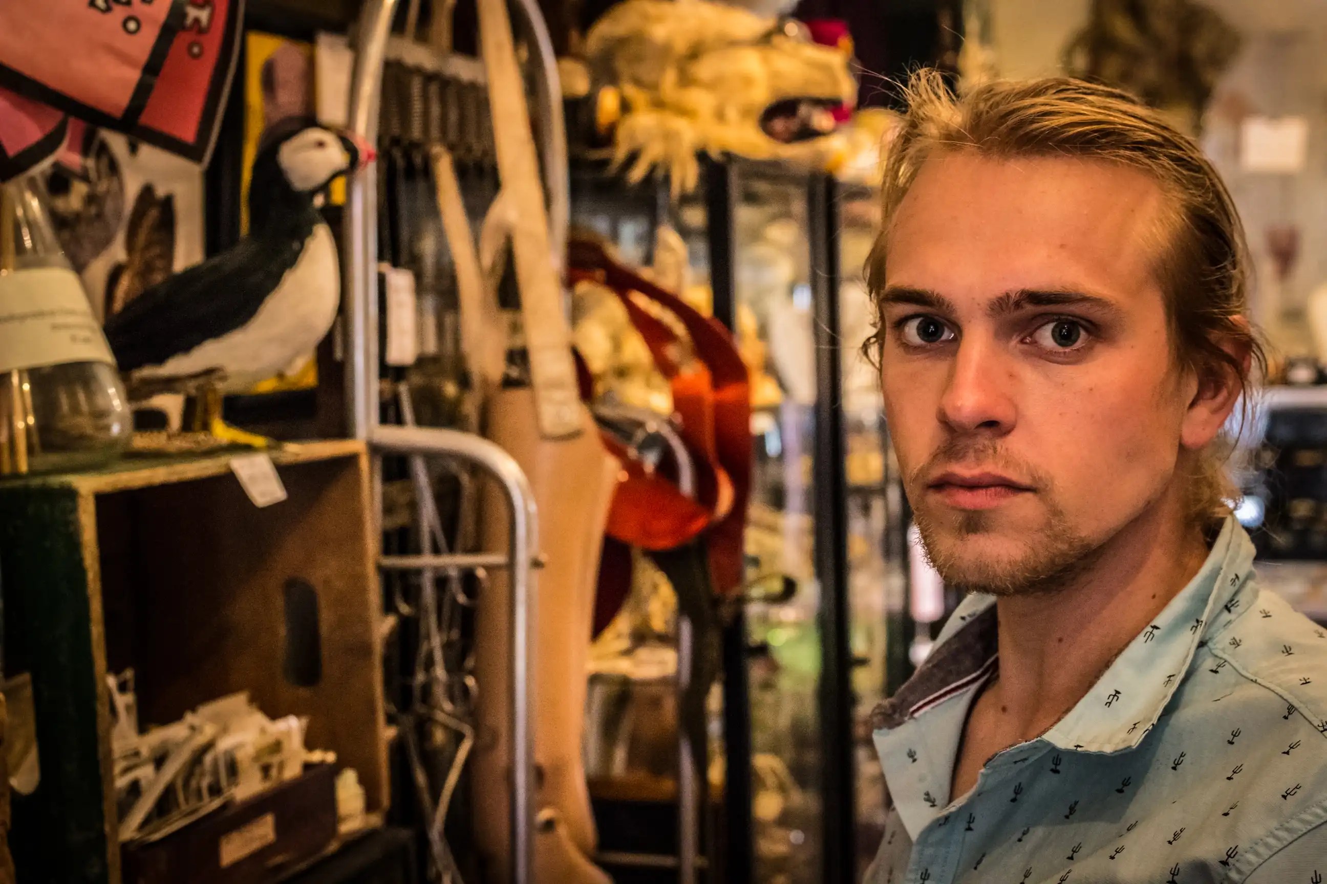 A young white man with blond hair and a scruffy beard in an oddity shop in front of a carving of a puffin.