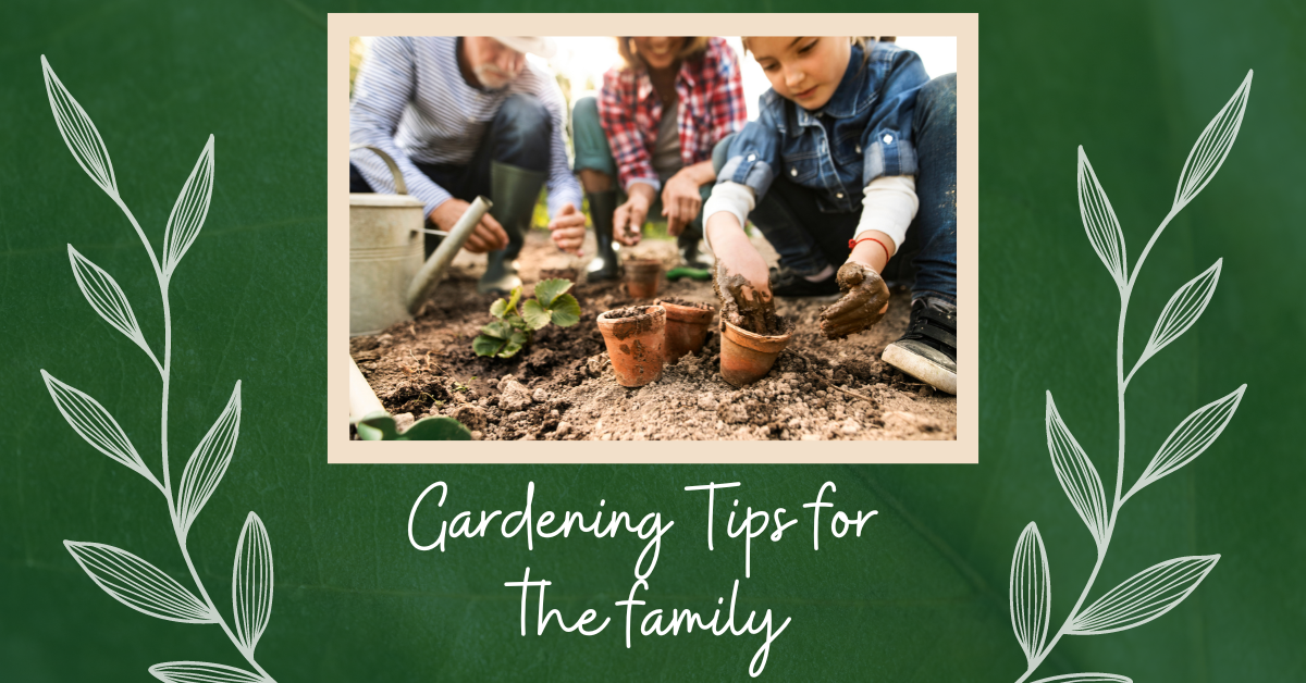 Fake ad. A father and mother garden with their young child. They child is planting in tiny terracotta pots. This photo is flanked by two illustrated vines on a green background. The text "Gardening tips for the family" is under the previously mentioned family photo.